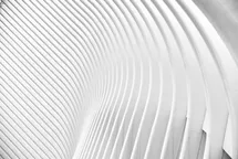 abstract architecture of curbed columns