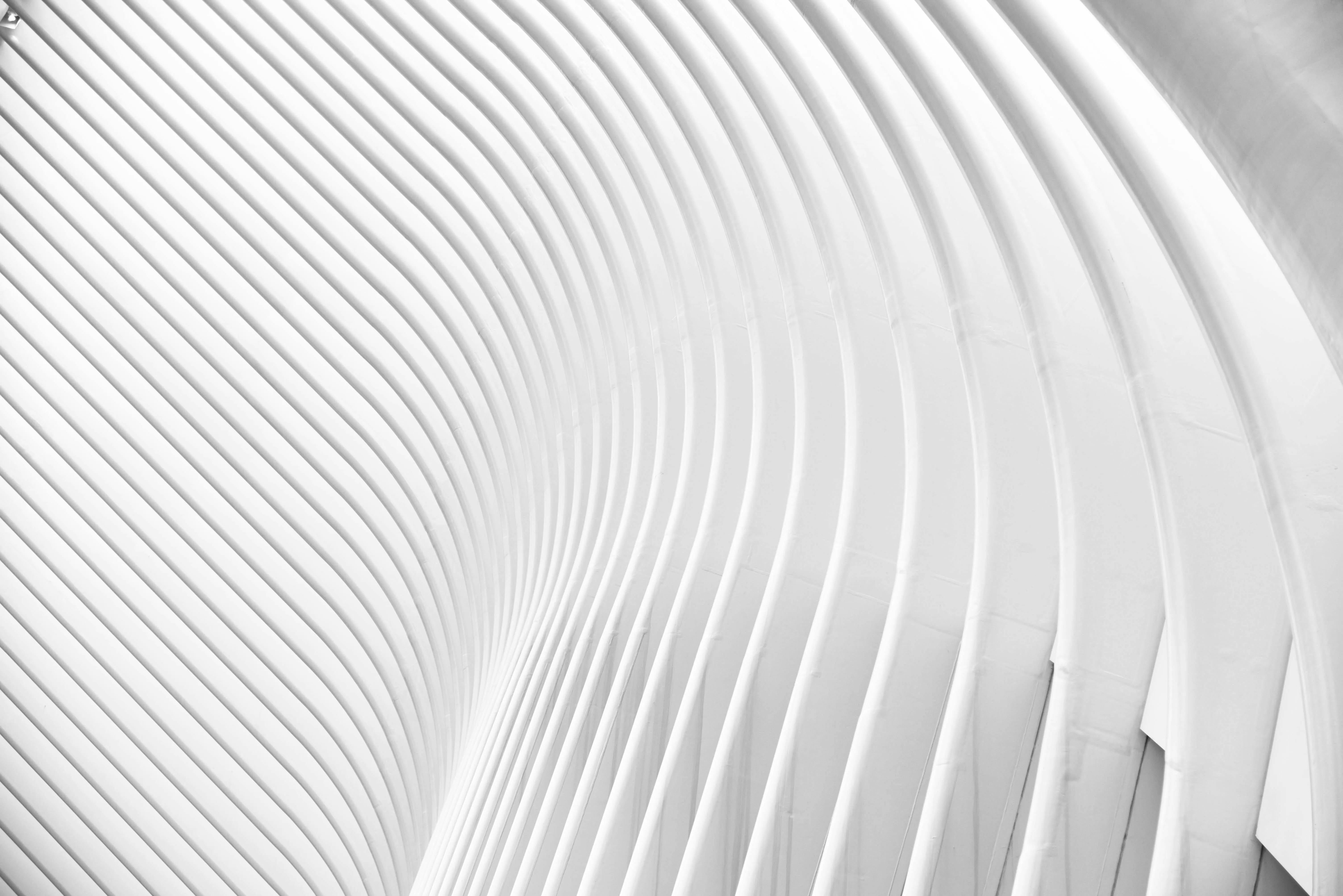 abstract architecture of curbed columns