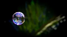 A photo of a soap bubble on a green like forest background.
