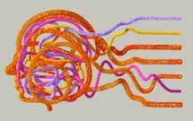 An abstract human head made of thick strings of various colors. The strings spand to the right in strainght lines from within the head like shape.